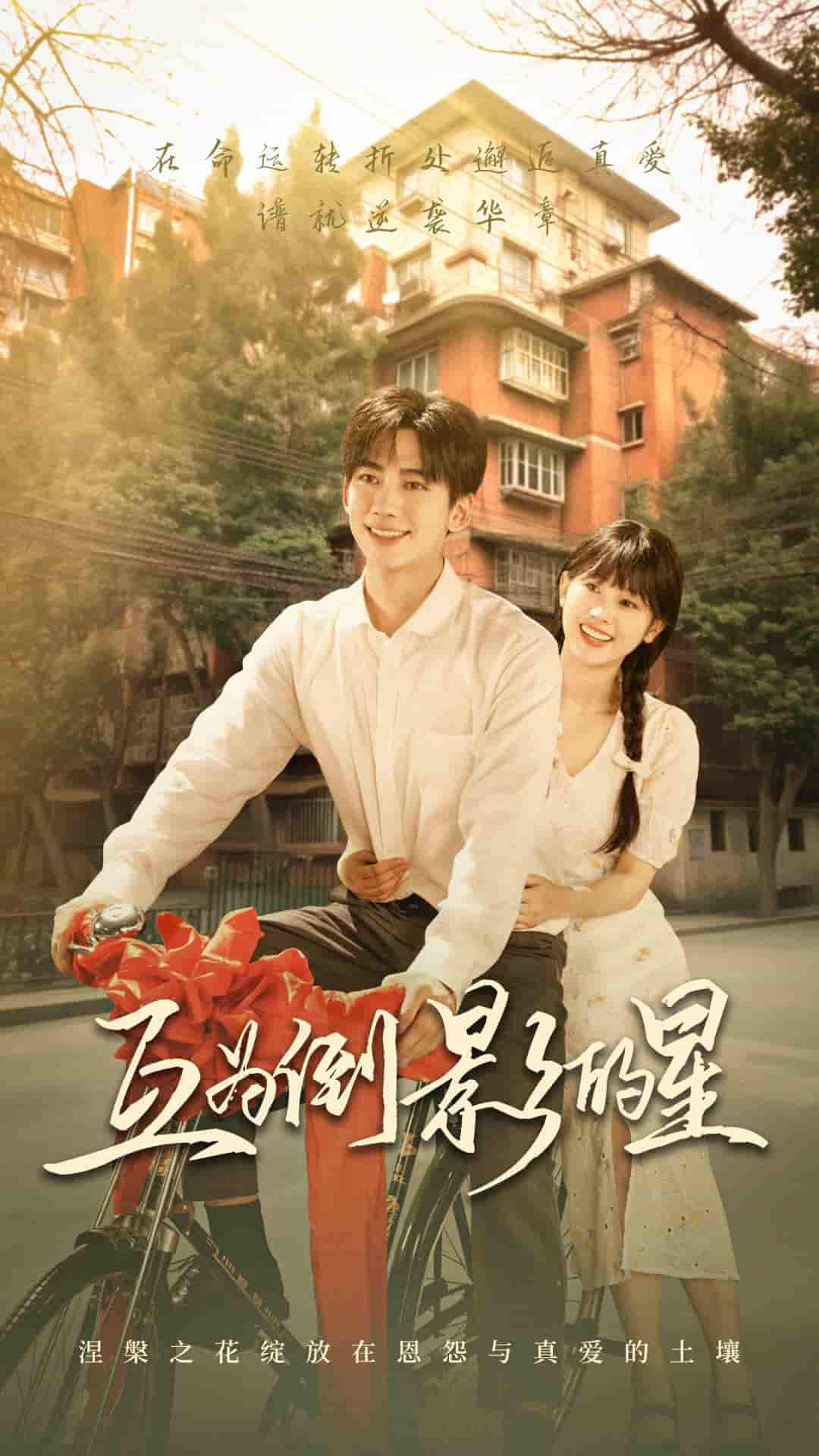 短剧《互为倒影的星》 免费观看高清短剧，全集完整版在线无障碍