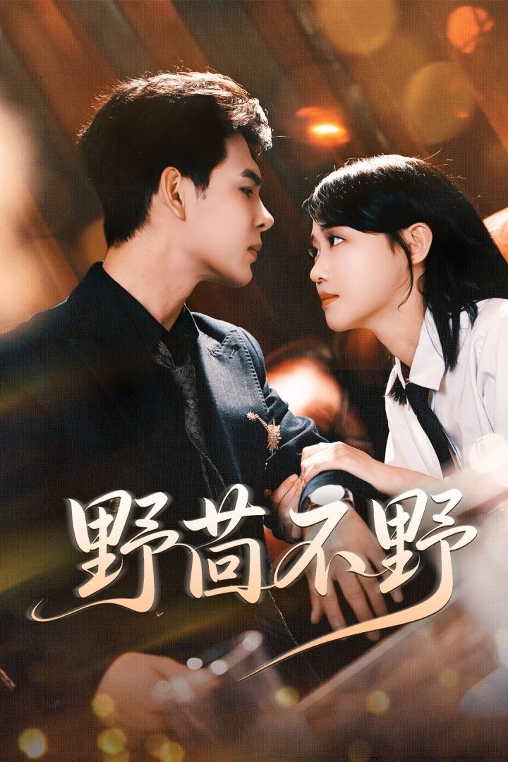 短剧野茴不野高清完整全集无删减版,在线免费播放,全剧无广告畅看! 短剧野茴不野高清完整全集无删减版,在线免费播放,全剧无广告畅看!