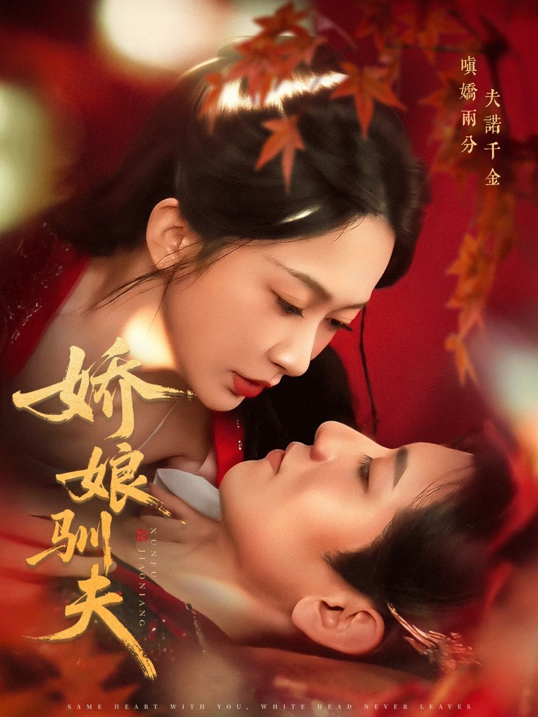 短剧 《娇娘驯夫》 超高清完整全集免费在线播放