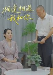 短剧 《相逢相遇我和你》 1080P 高清完整全集在线观看