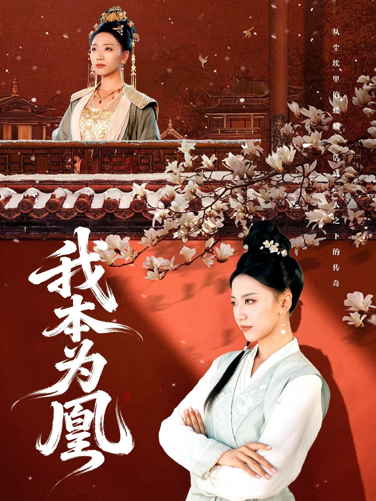 我本为凰精彩短剧1080P高清，完整全集在线播放无广告，畅享高清无卡顿观看。