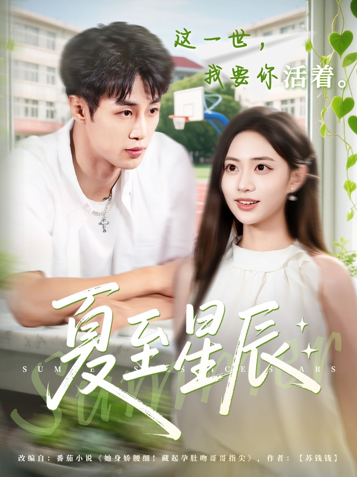 短剧夏至星辰高清无删减全集完整版在线观看