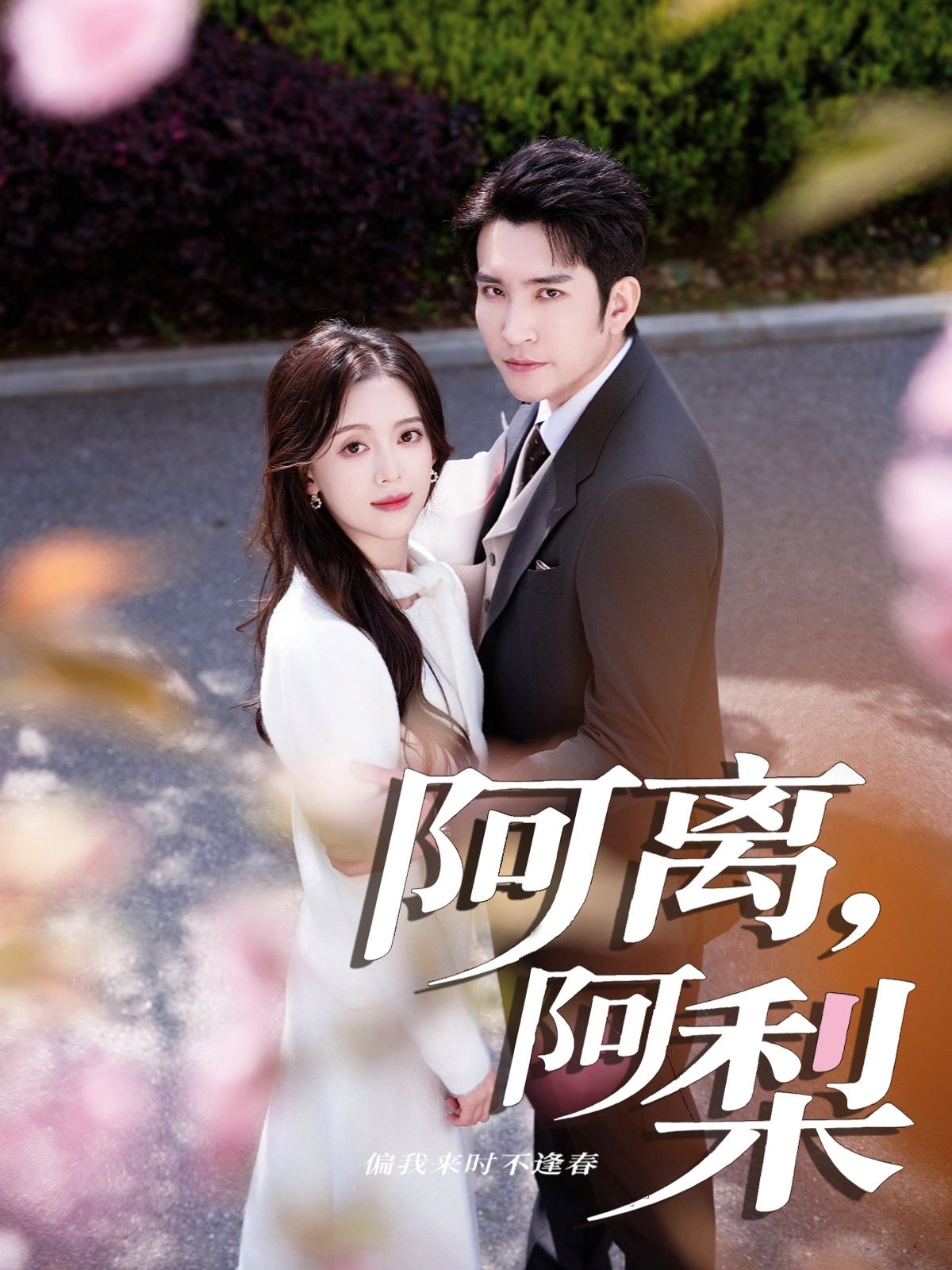 短剧阿离阿梨1080P超高清全集完整版在线观看,剧情精彩流畅无删减。 短剧阿离阿梨1080P超高清全集完整版在线观看,剧情精彩流畅无删减。