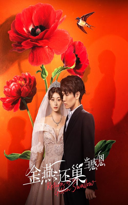 短剧 《金燕还巢当感恩》 高清完整全集免费在线观看无广告,情感与感恩,金燕的回声 短剧 《金燕还巢当感恩》 高清完整全集免费在线观看无广告,情感与感恩,金燕的回声