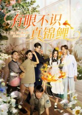 短剧有眼不识真锦鲤免费在线看，高清全集无删减版，立即观看！