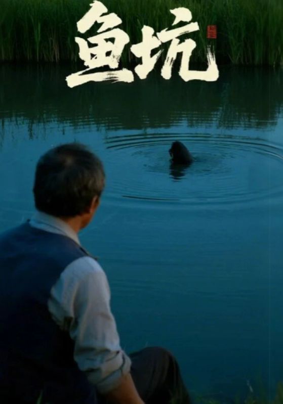 短剧鱼坑HD高清全集无删减版在线播放 短剧鱼坑HD高清全集无删减版在线播放