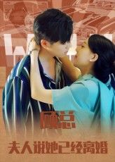 短剧顾总，夫人说她已经离婚1080P HD超高清全集完整版在线看