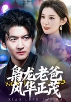 热门短剧《枭龙老爸风华正茂》 全集完整版免费无广告在线观看播放未删减版资源，短剧百度网盘夸克网盘免费资源分享下载