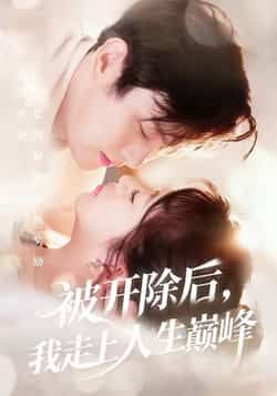 热门短剧《被开除后，我走上人生巅峰》 全集完整版免费观看在线播放未删减版资源，短剧百度网盘夸克网盘免费资源分享下载