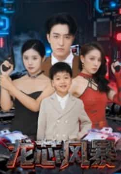 热门短剧龙芯风暴全集未删减版免费在线观看，百度/夸克网盘资源免费分享下载。